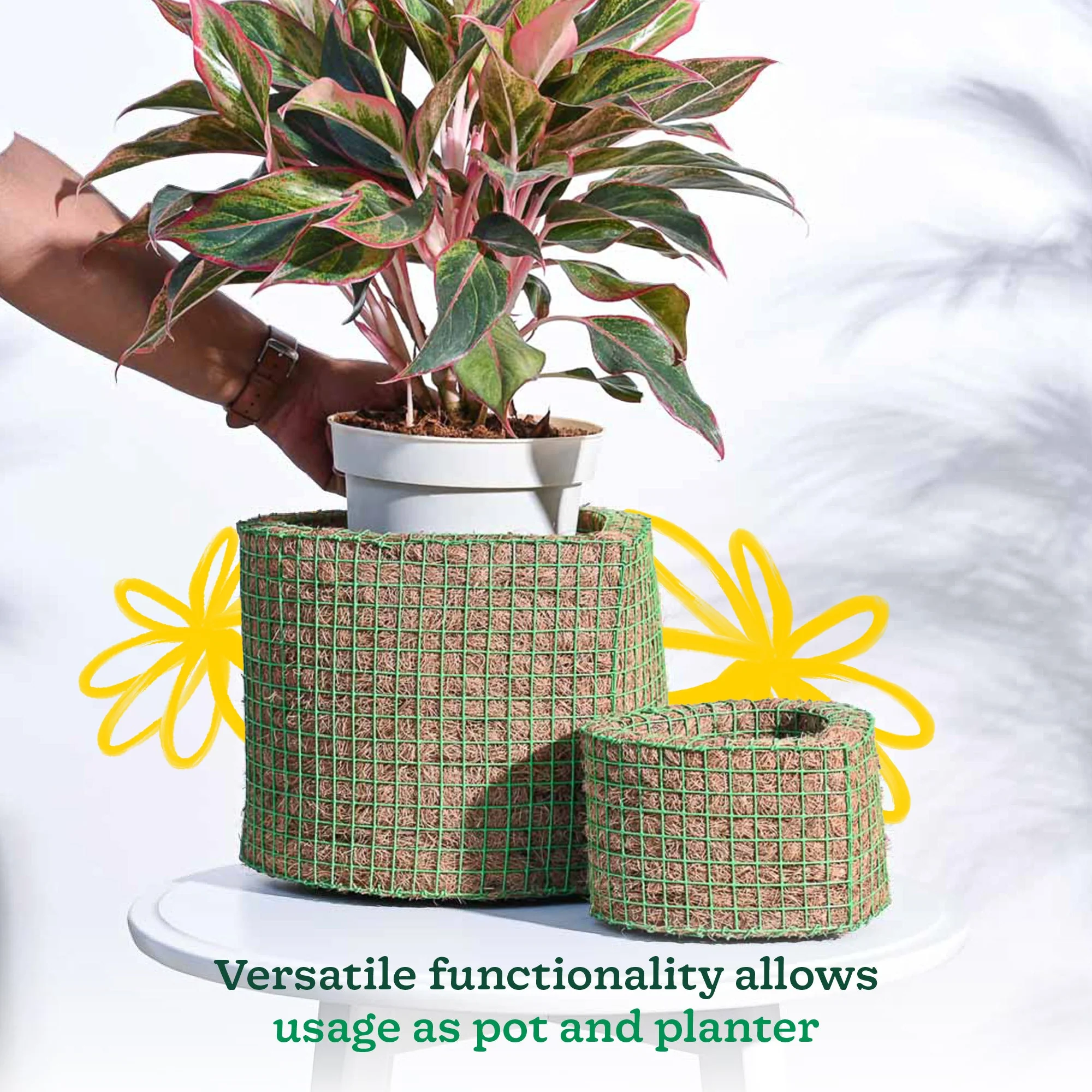 Heart Coir Planter - Set of 2 - Image 5