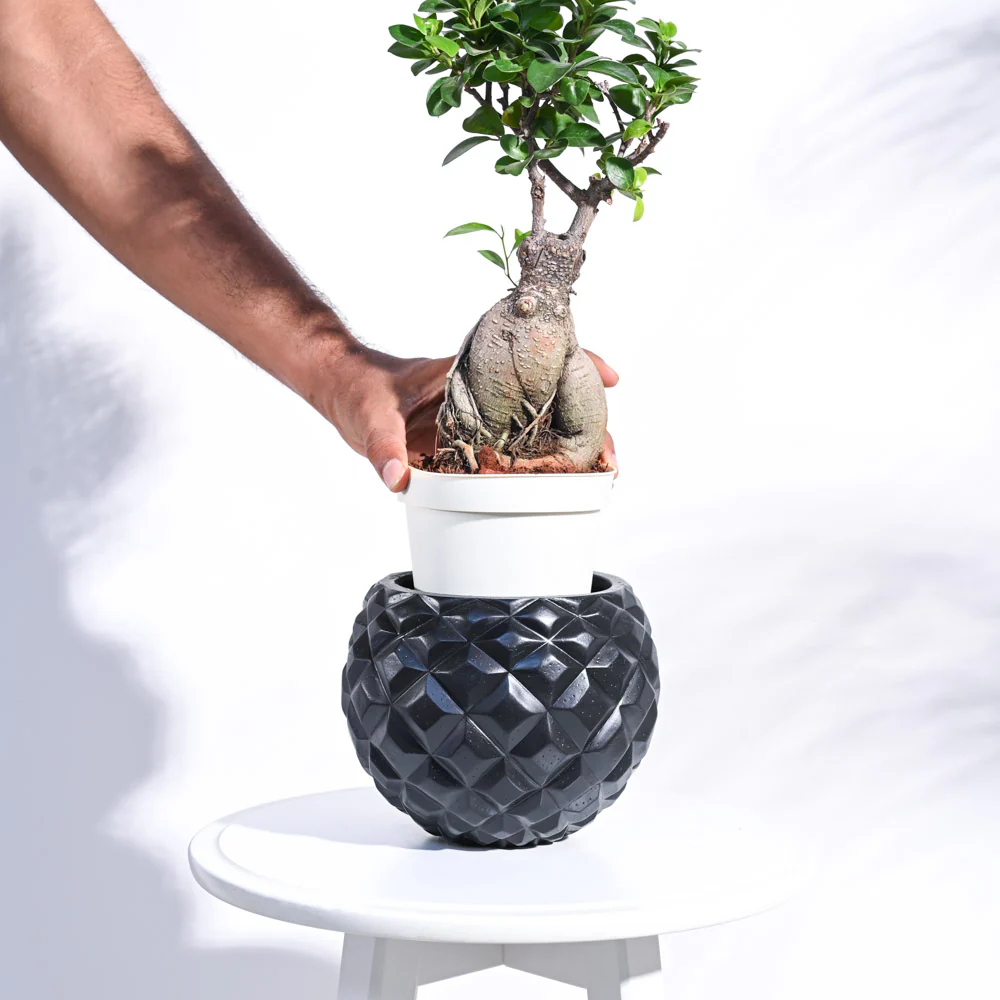 Heraldry Vase Ball - Image 10