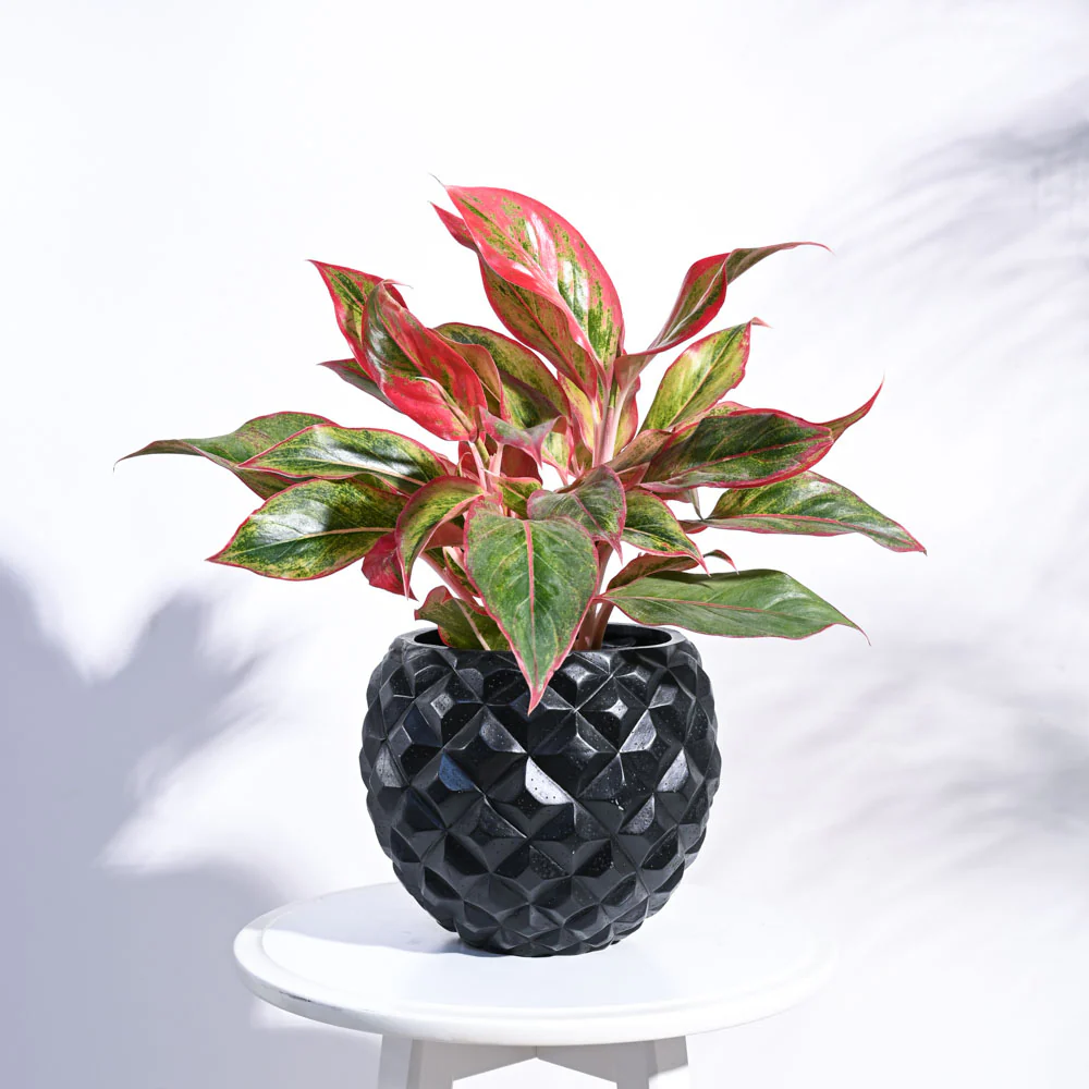 Heraldry Vase Ball - Image 19