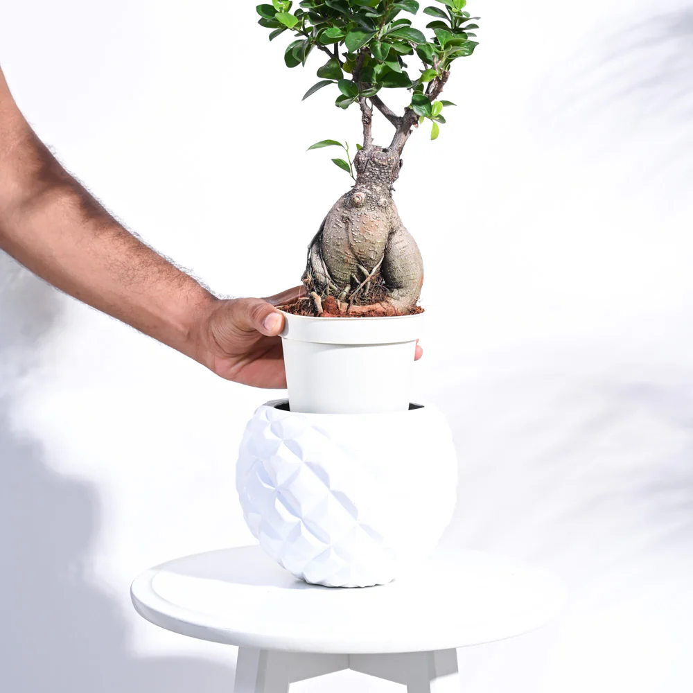 Heraldry Vase Ball - Image 4