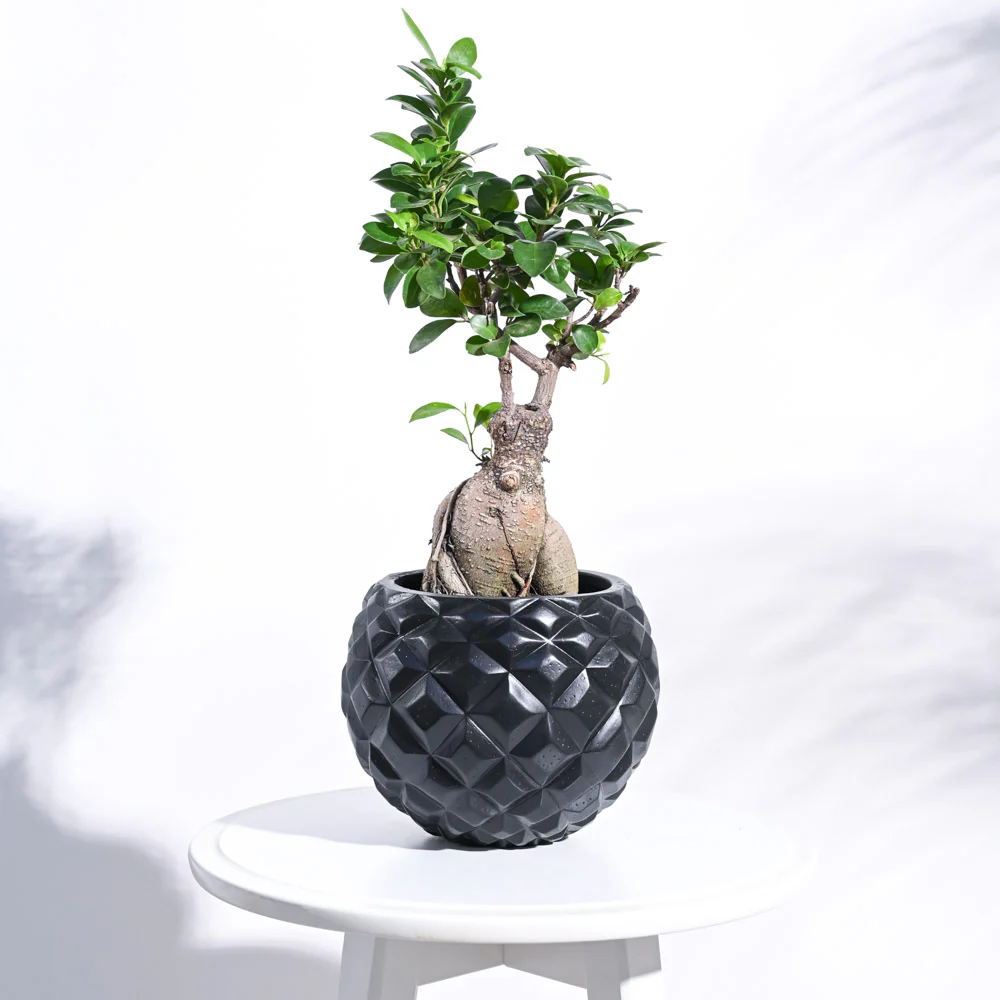 Heraldry Vase Ball - Image 7