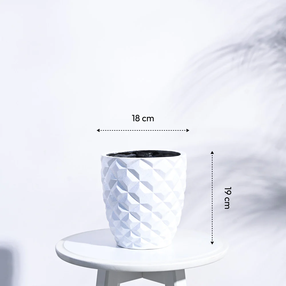 Heraldry Vase Taper - Image 8