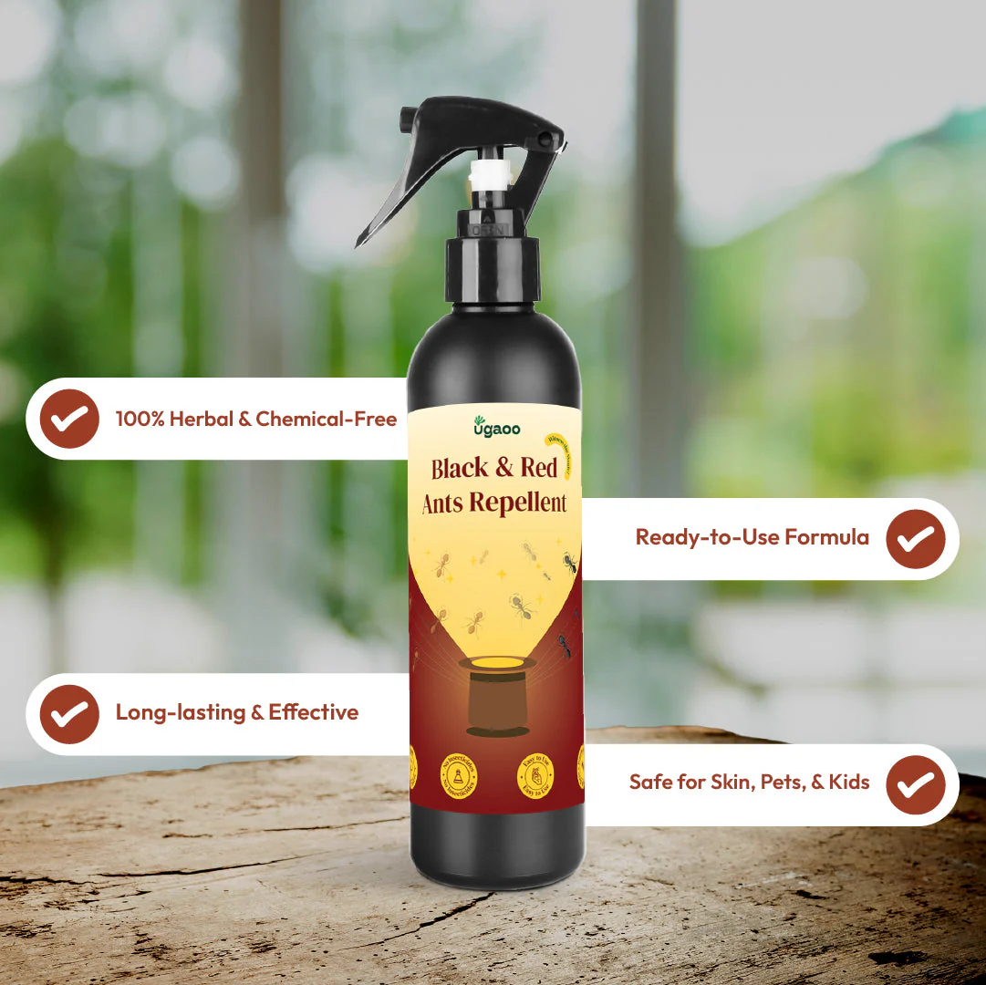Herbal Black & Red Ant Repellent Spray - 200ml - Image 3