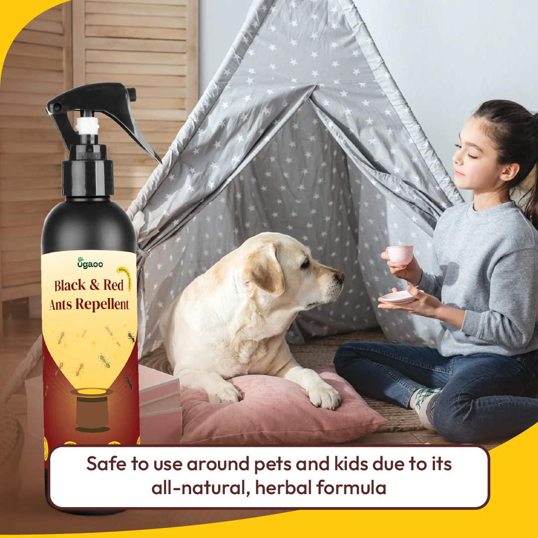 Herbal Black & Red Ant Repellent Spray - 200ml - Image 6