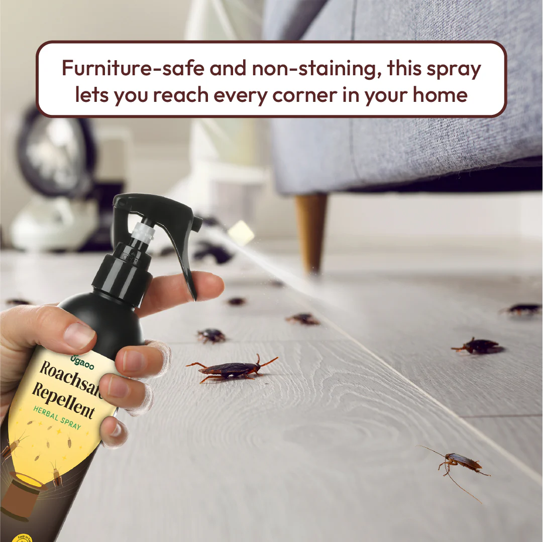 Herbal Cockroach Repellent Spray - 200ml - Image 5