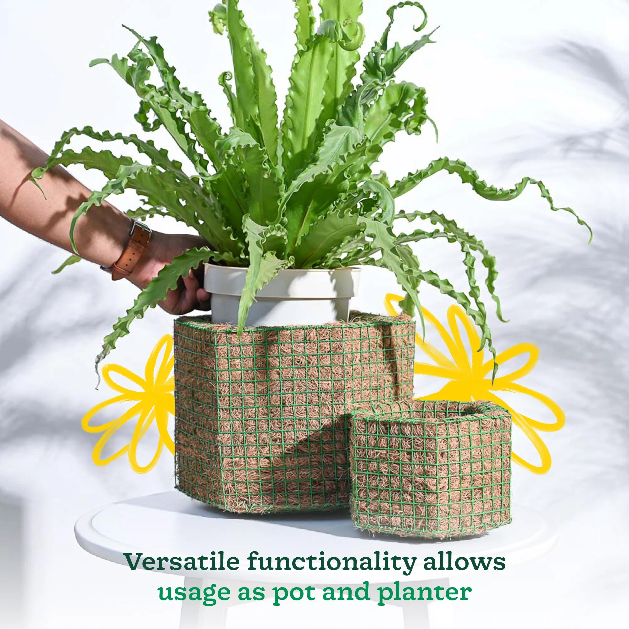 Hexa Coir Planter - Set of 2 - Image 5