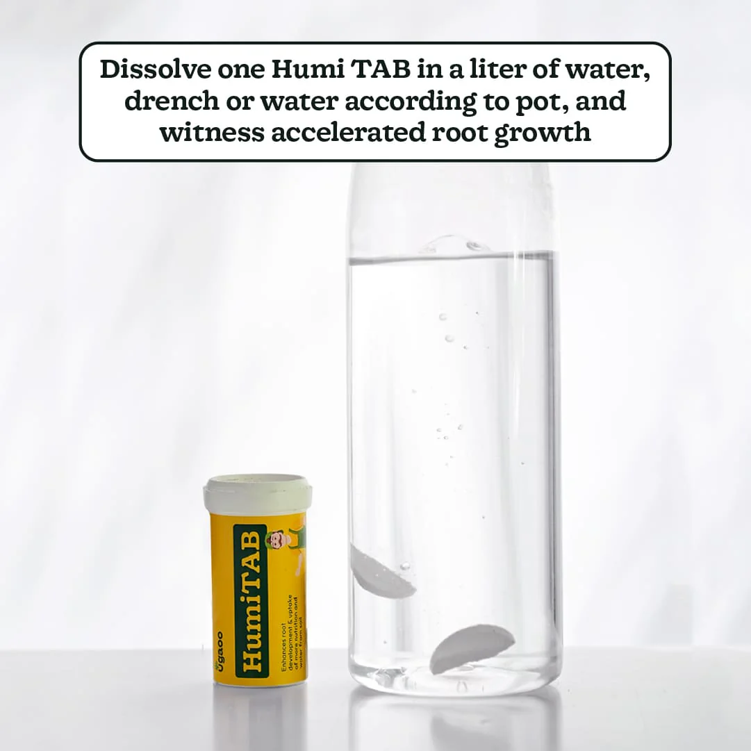 Humi TAB - Image 4