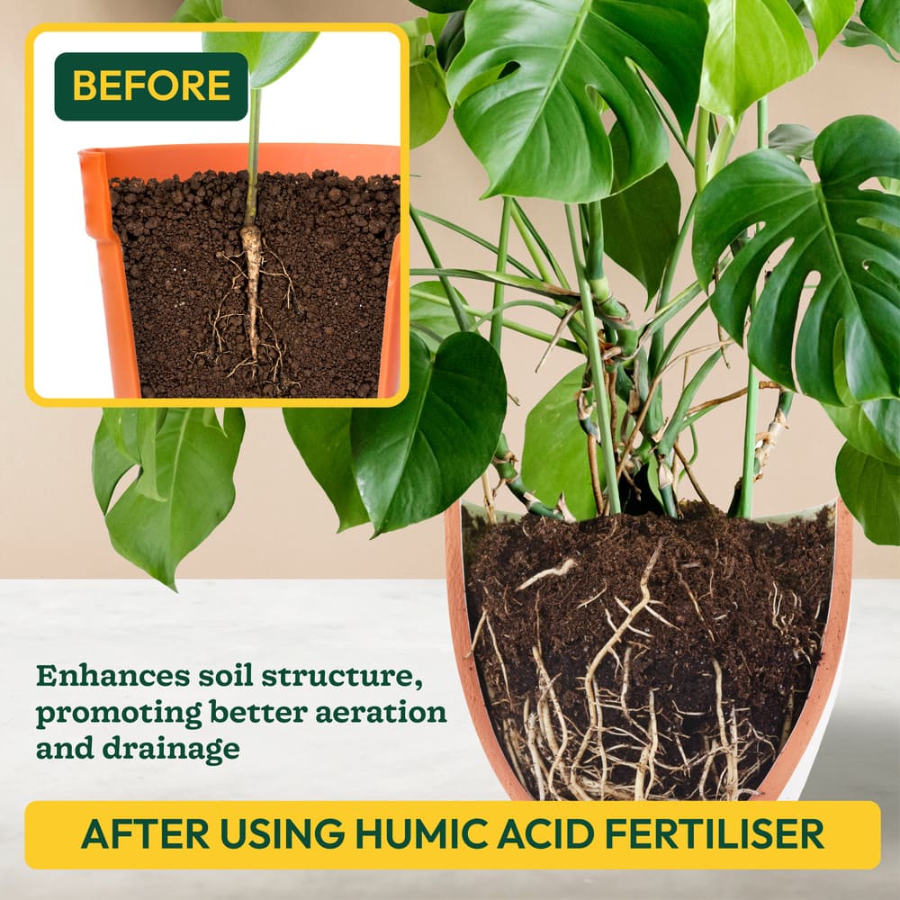 Humic Acid Powder Fertilizer - 1 Kg - Image 5