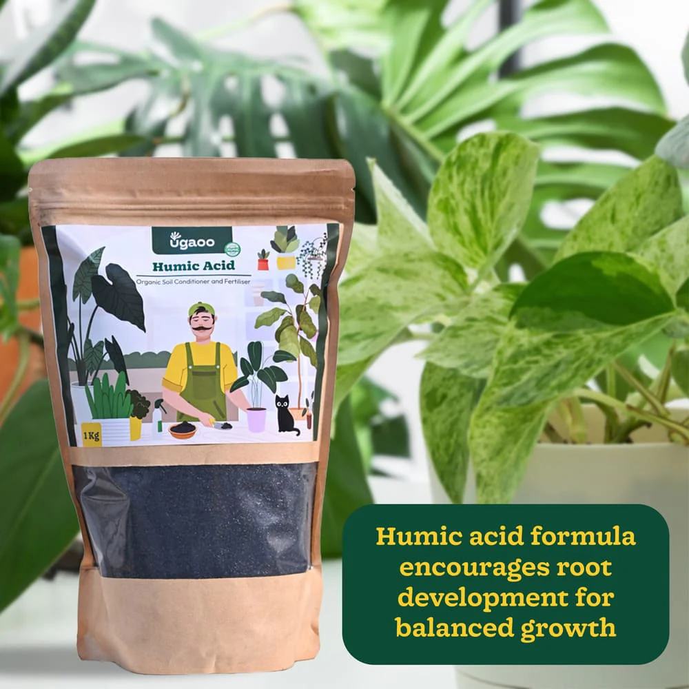 Humic Acid Powder Fertilizer - 1 Kg - Image 6