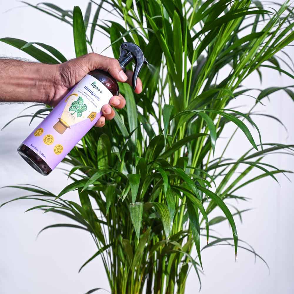 Humic Acid Ready-to-Use Spray - 500 ml - Image 5