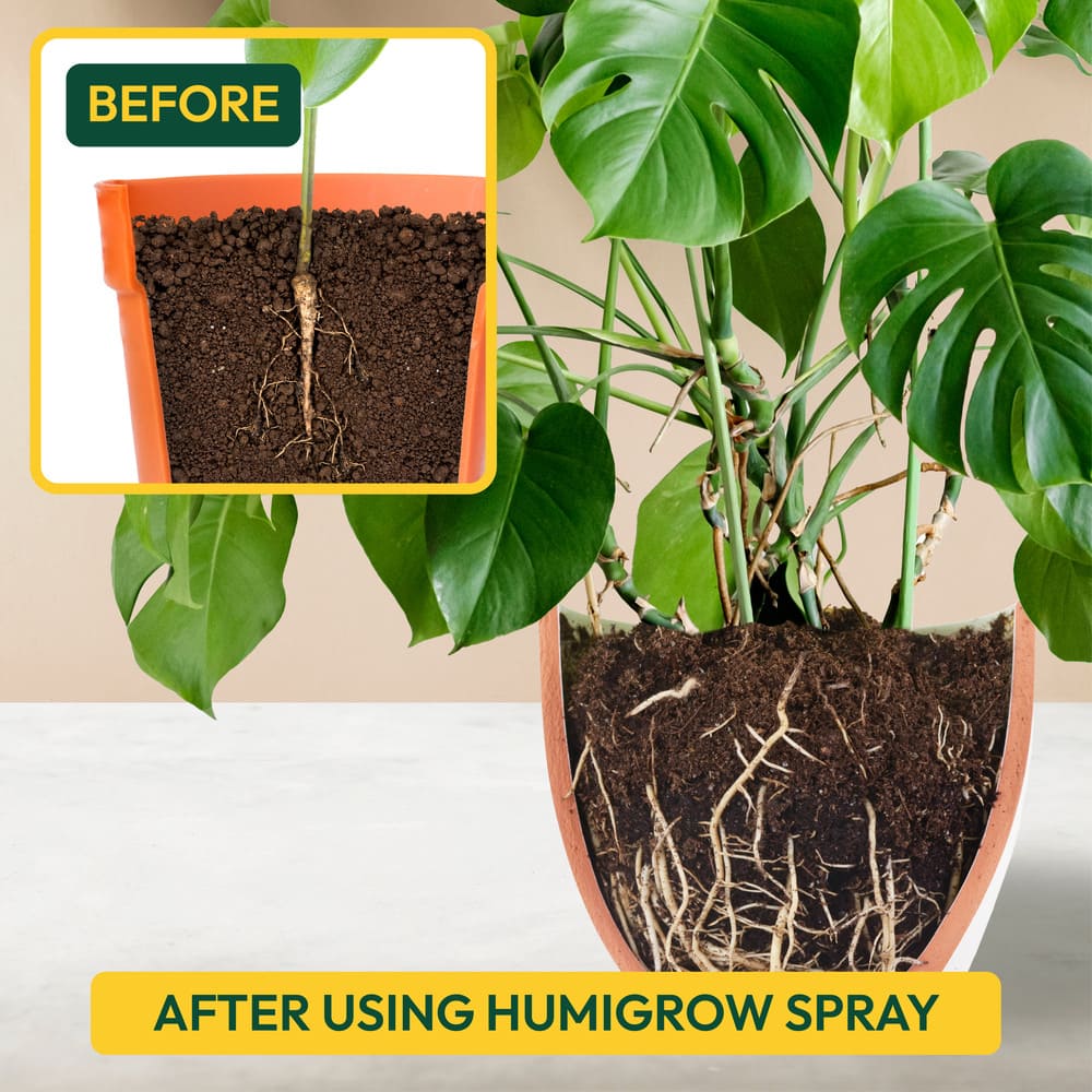 Humic Acid Ready-to-Use Spray - 500 ml - Image 6
