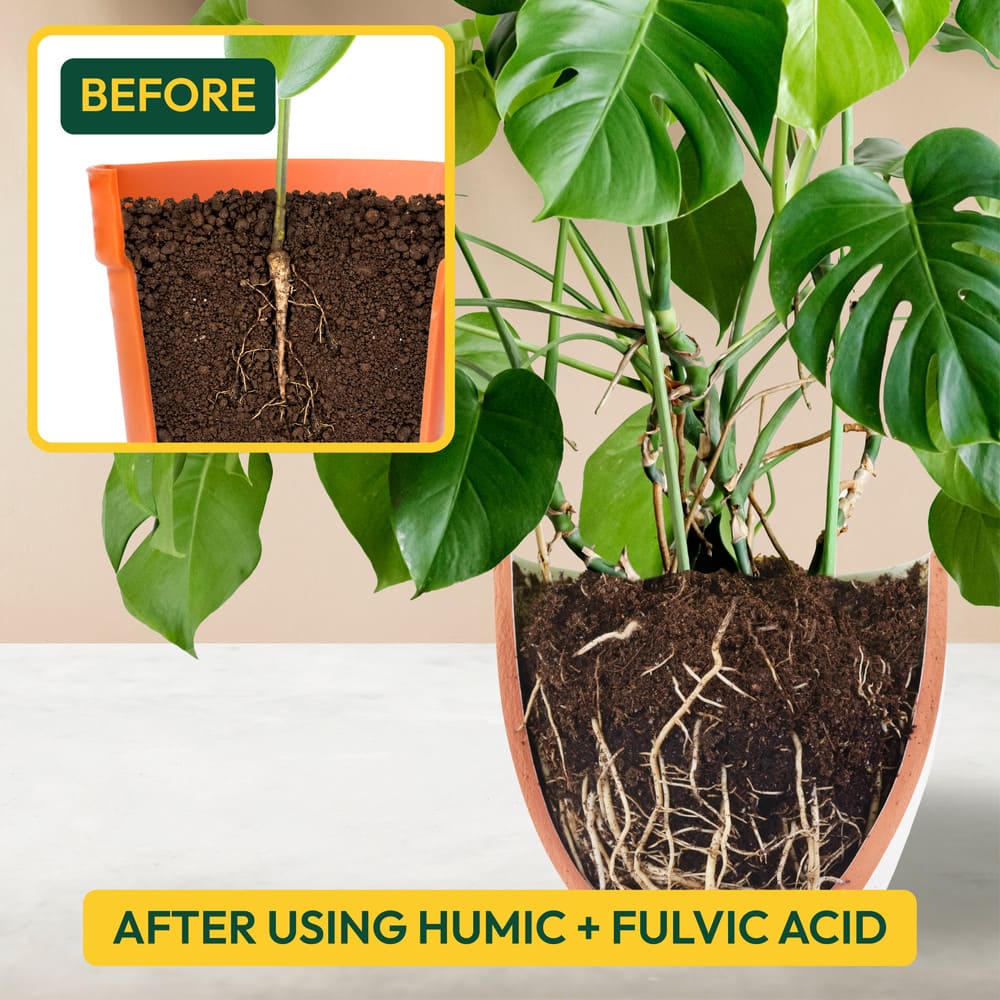 Humic & Fulvic Acid Liquid Fertilizer- 1 Liter - Image 4