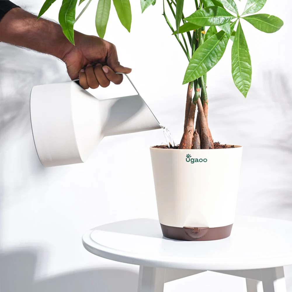 Hydra Watering Pitcher - Image 3