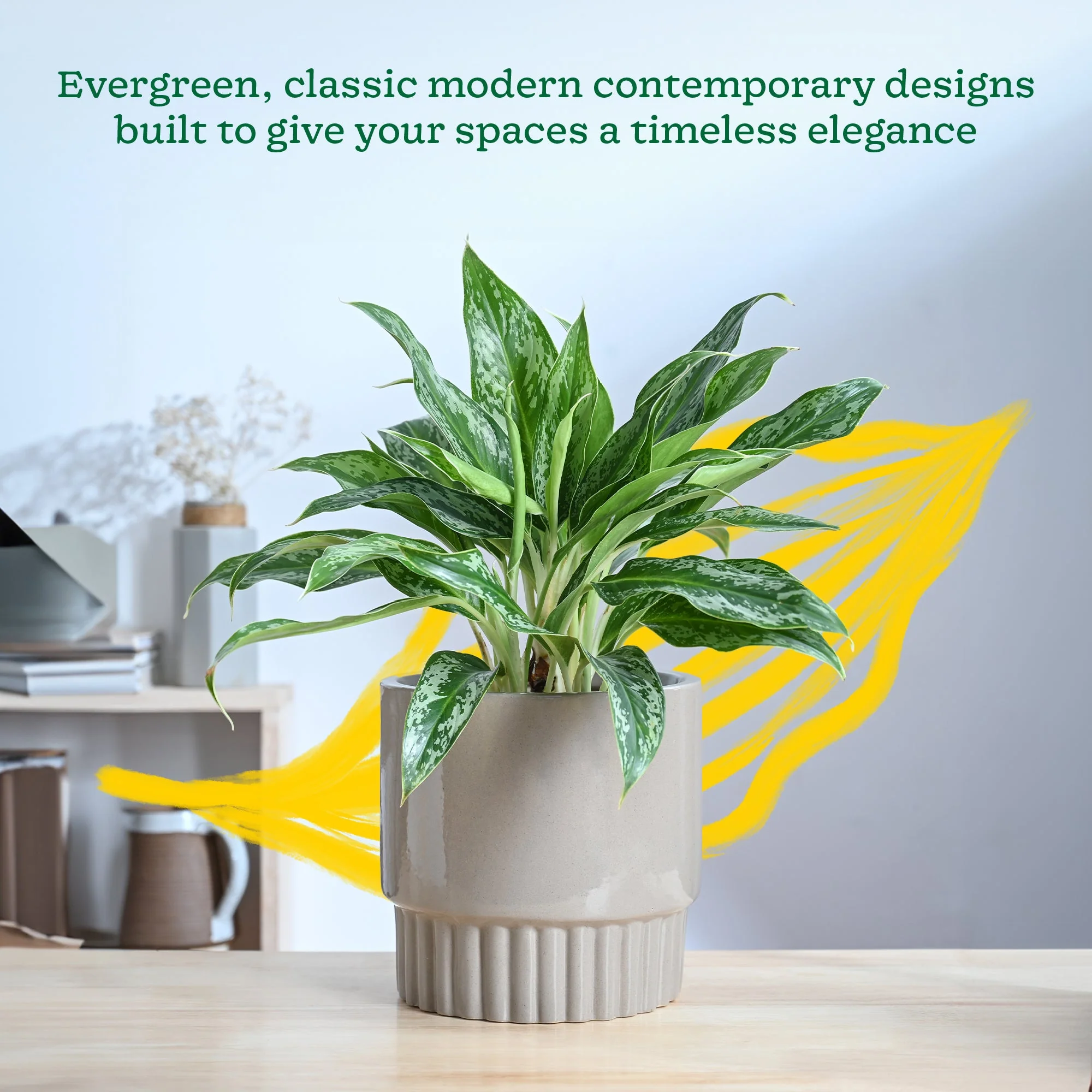 Immortal Nights Ceramic Planter - Image 10