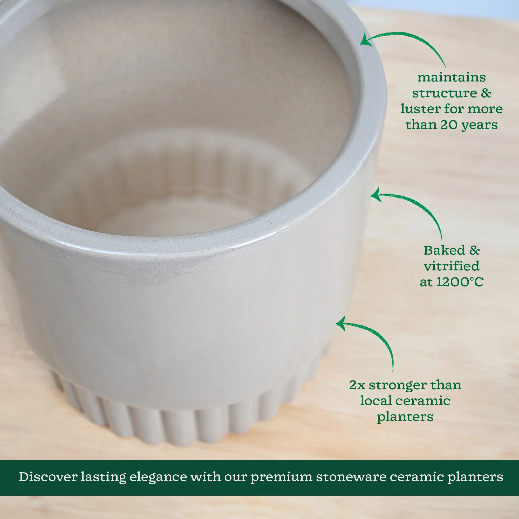 Immortal Nights Ceramic Planter - Image 13