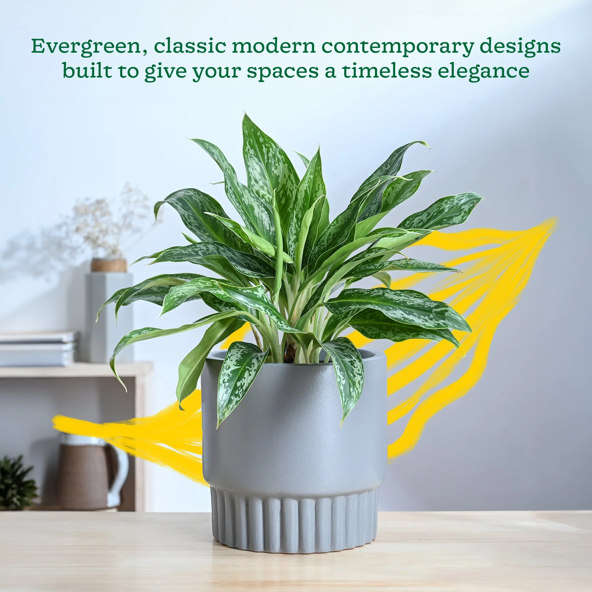 Immortal Nights Ceramic Planter - Image 18