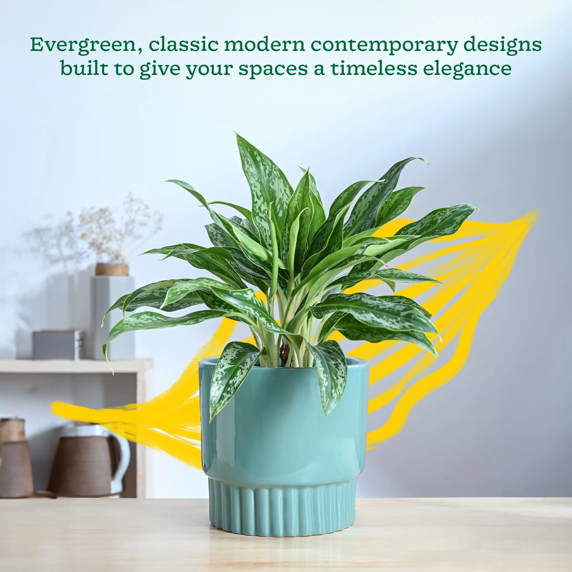 Immortal Nights Ceramic Planter - Image 2