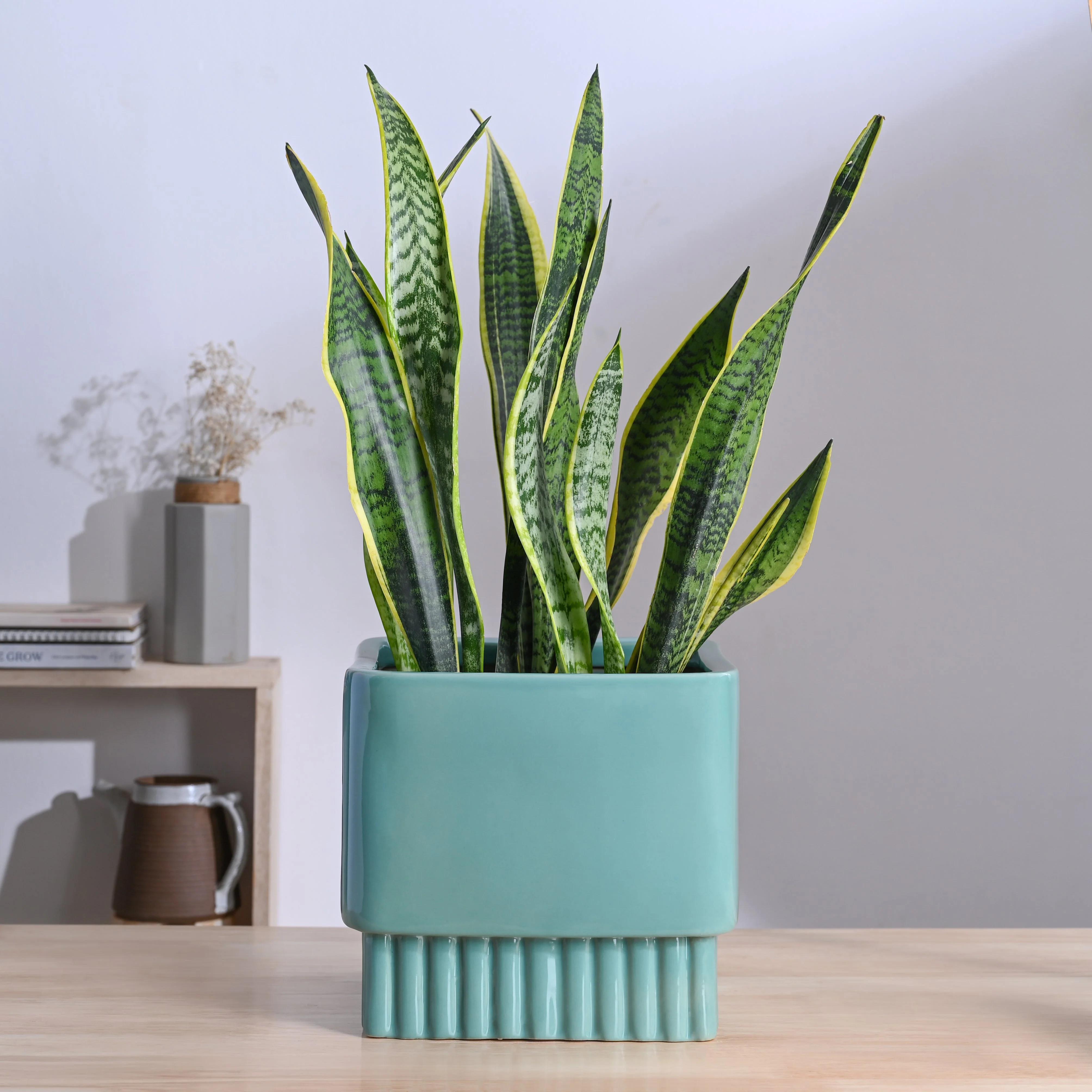 Immortal Nights Ceramic Planter - Image 25