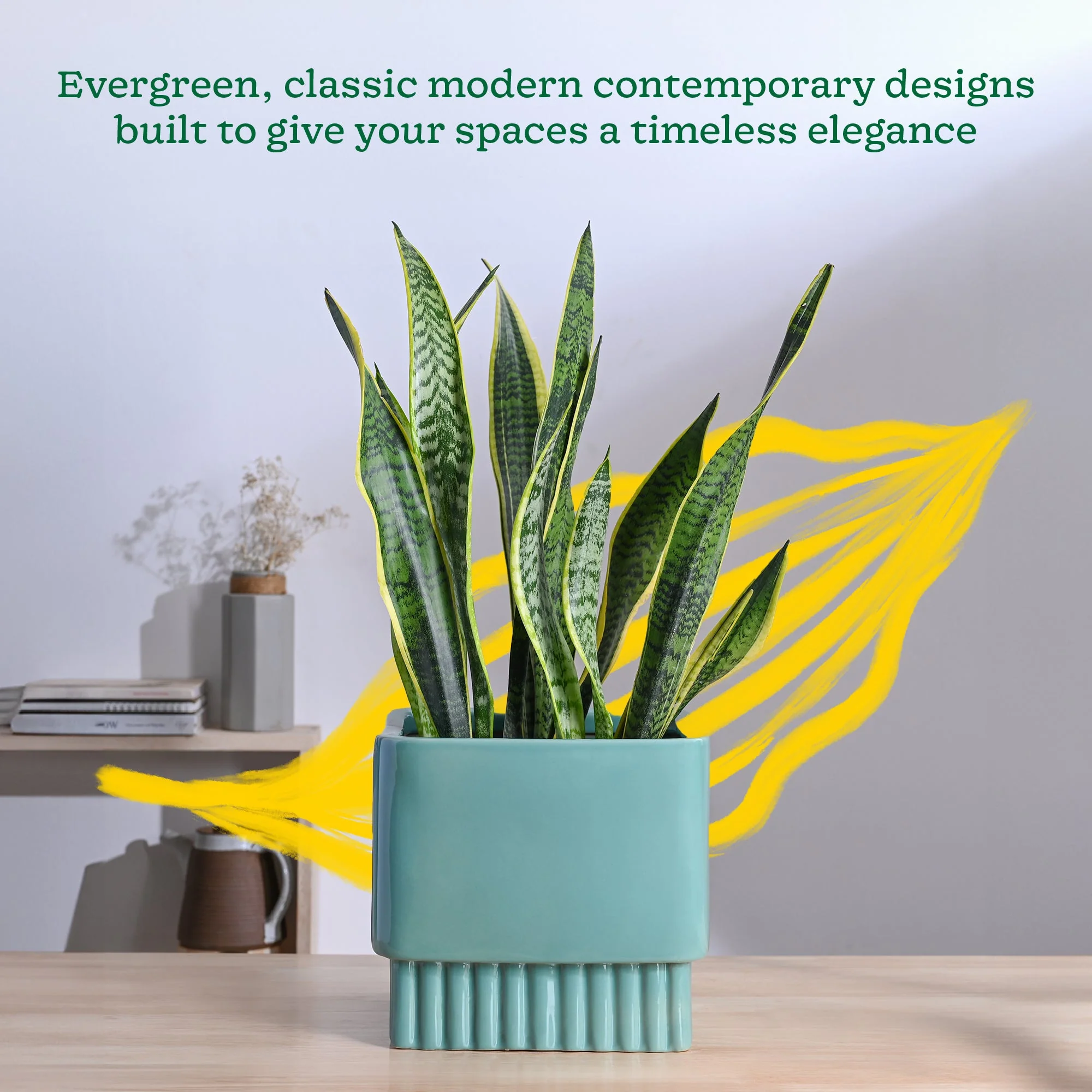 Immortal Nights Ceramic Planter - Image 26