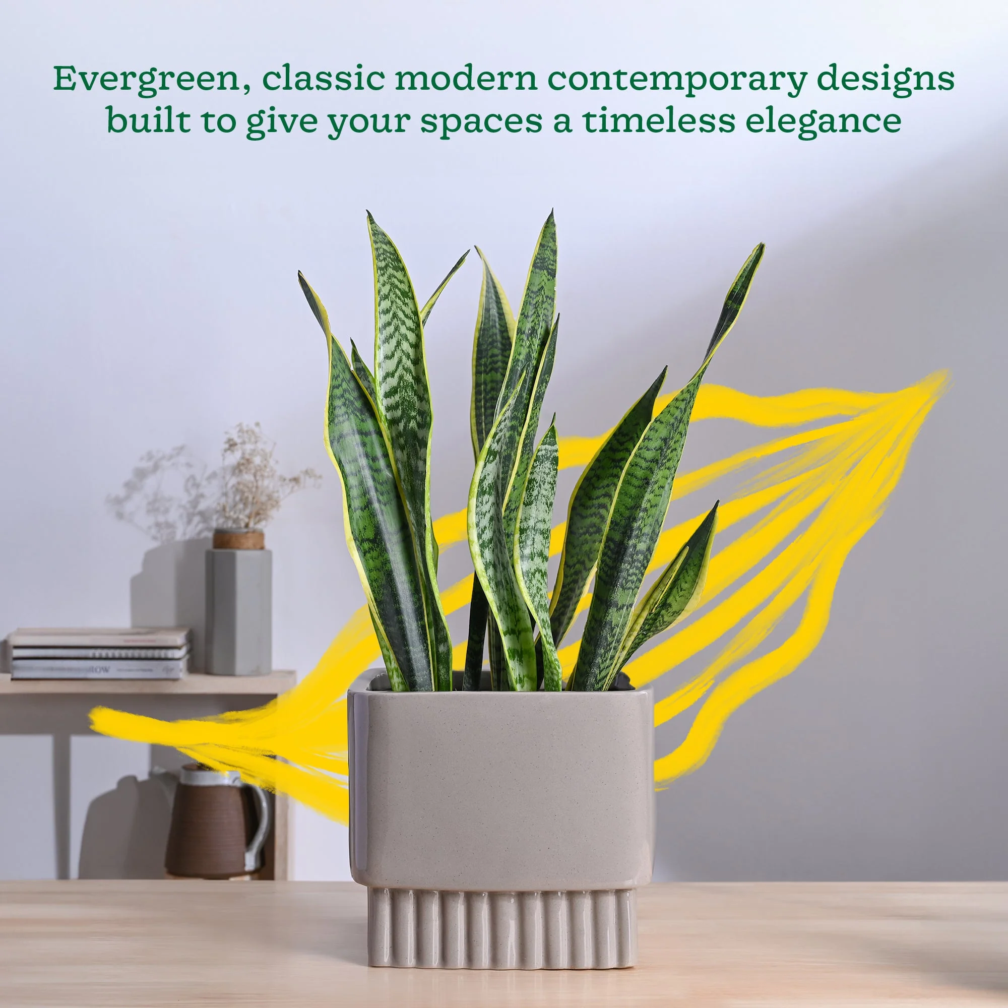 Immortal Nights Ceramic Planter - Image 34
