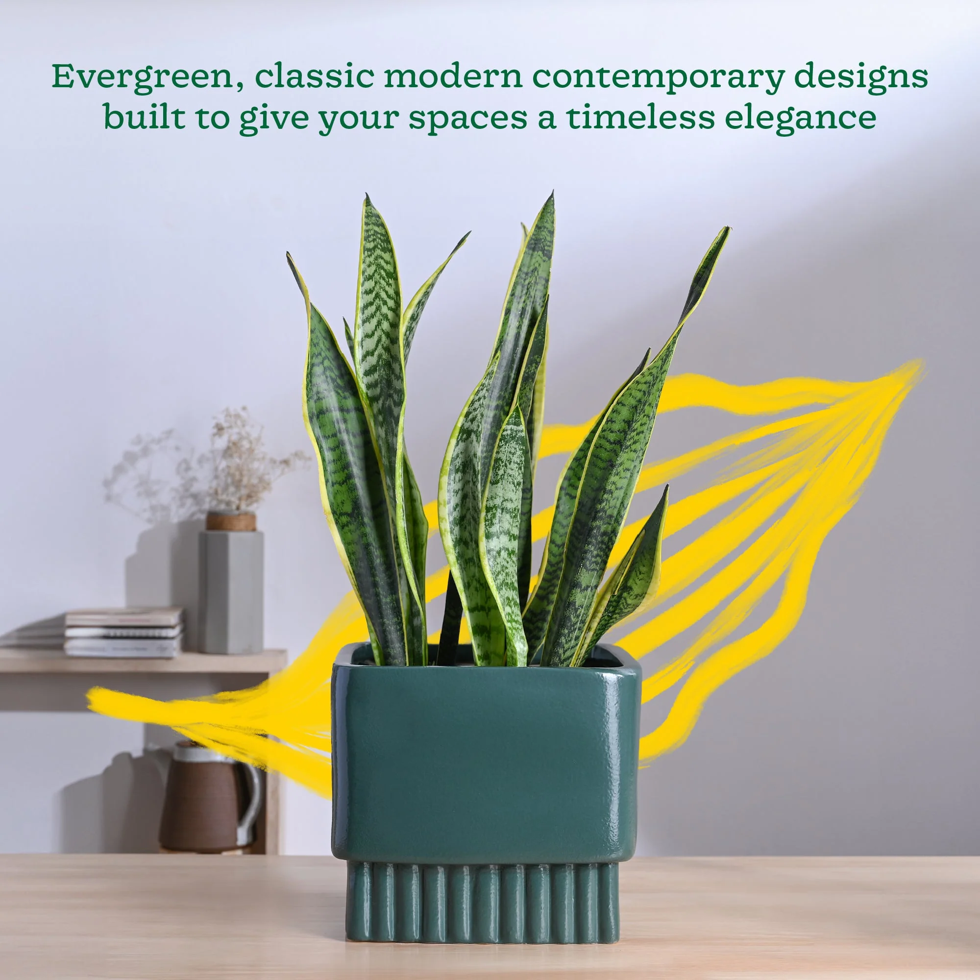 Immortal Nights Ceramic Planter - Image 42