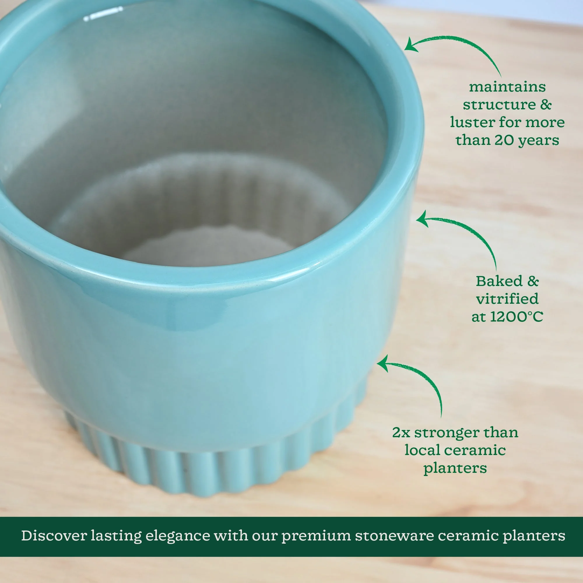 Immortal Nights Ceramic Planter - Image 5