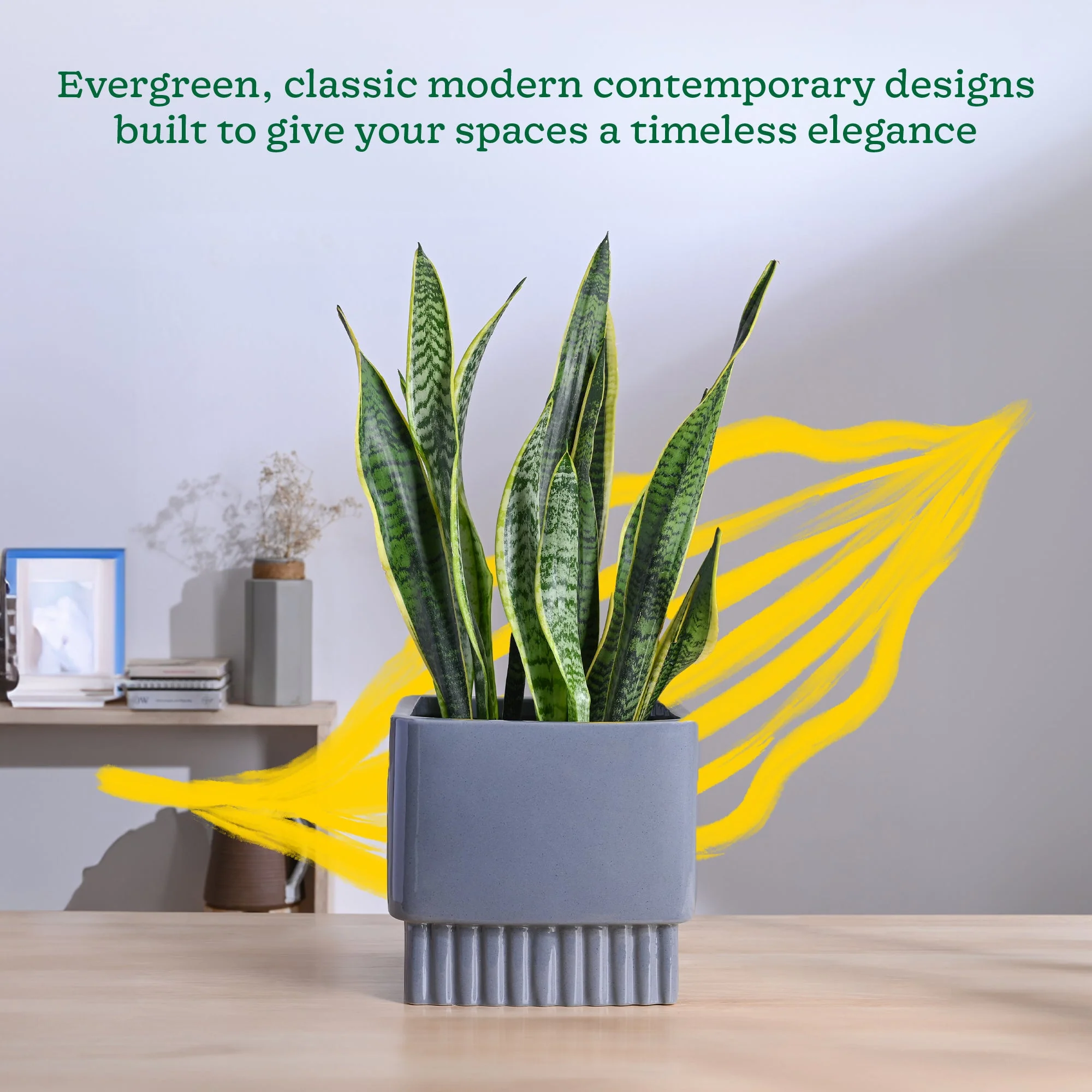 Immortal Nights Ceramic Planter - Image 50