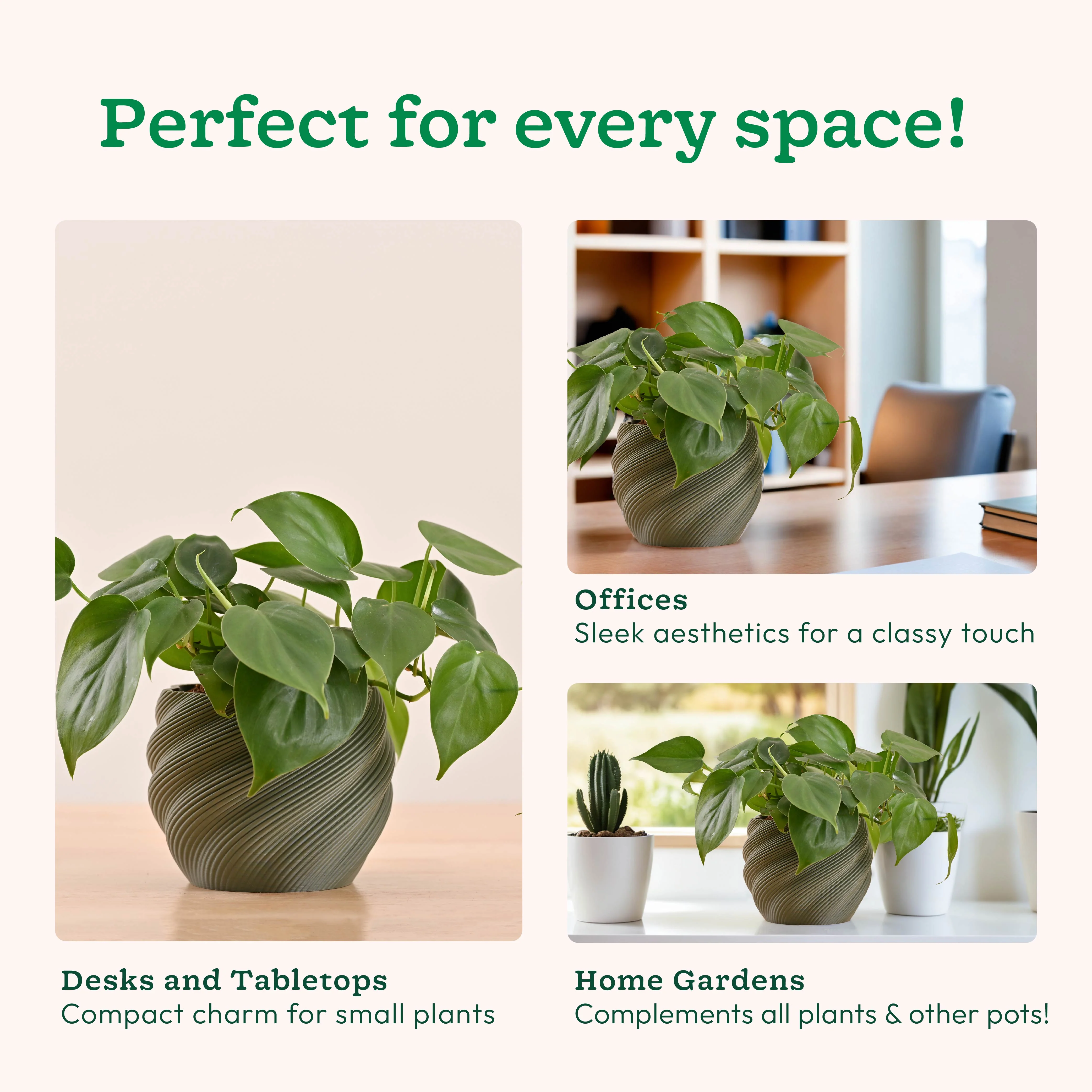 Imperia Planter - Image 11