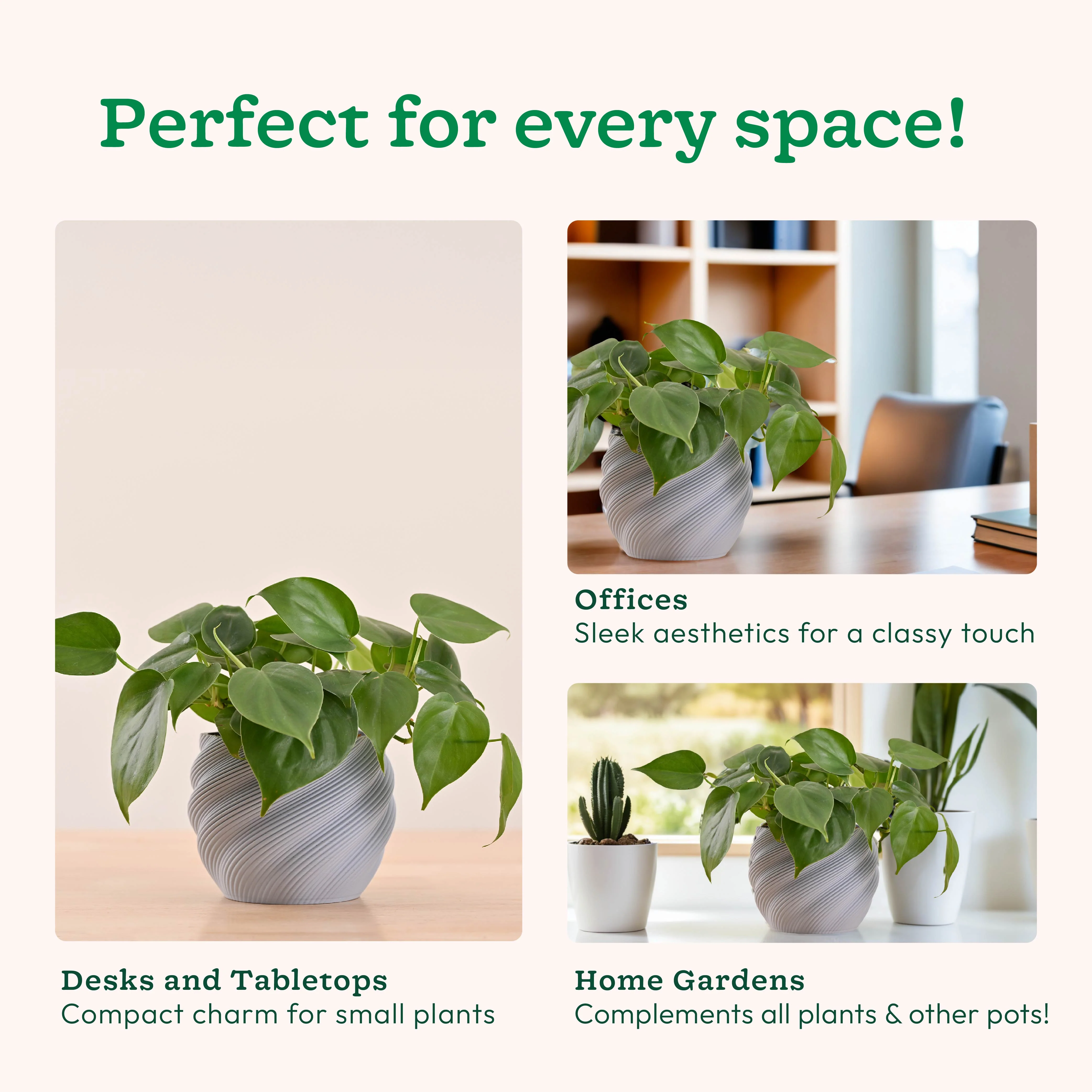 Imperia Planter - Image 17