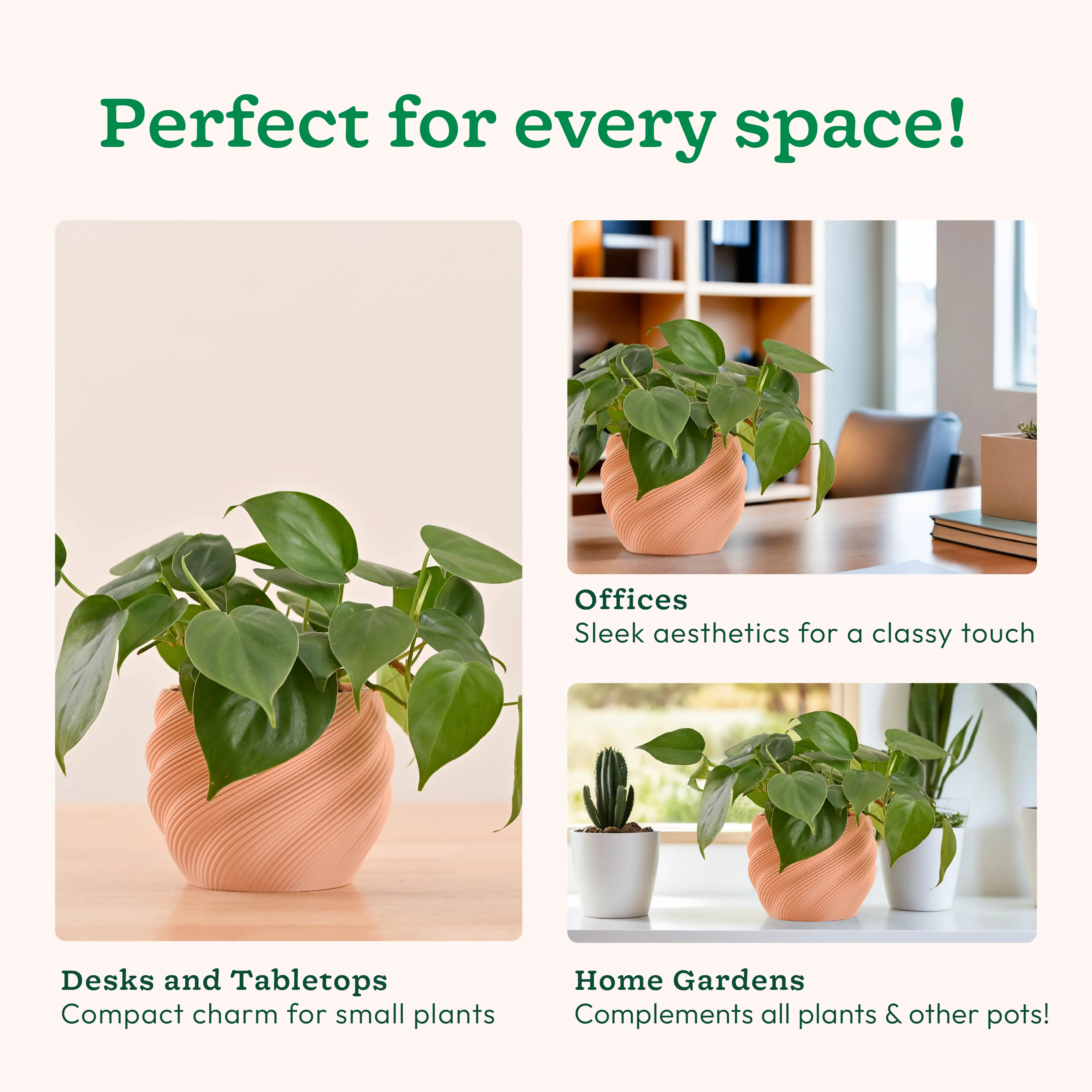 Imperia Planter - Image 5