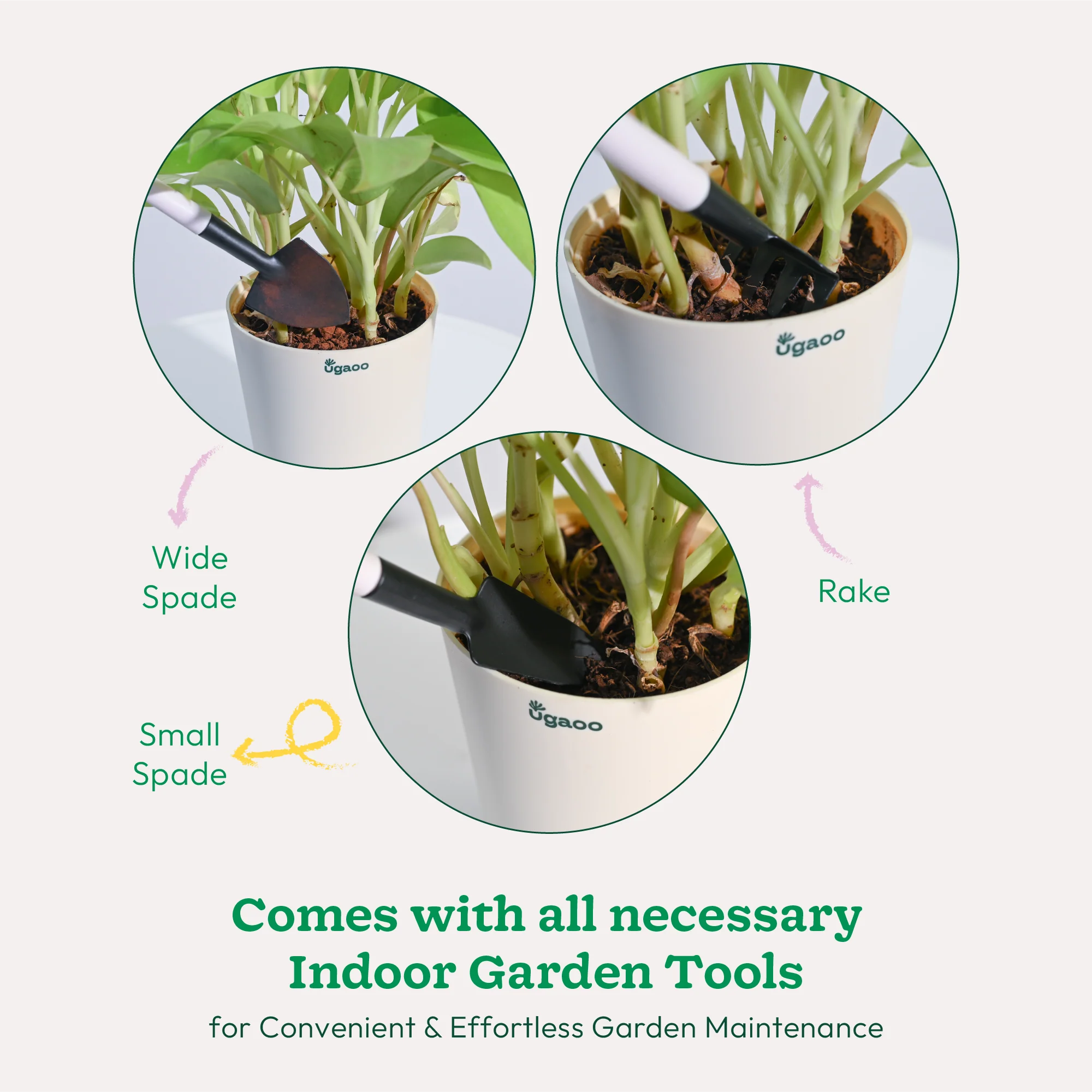 Indoor Gardening Kit - Image 3