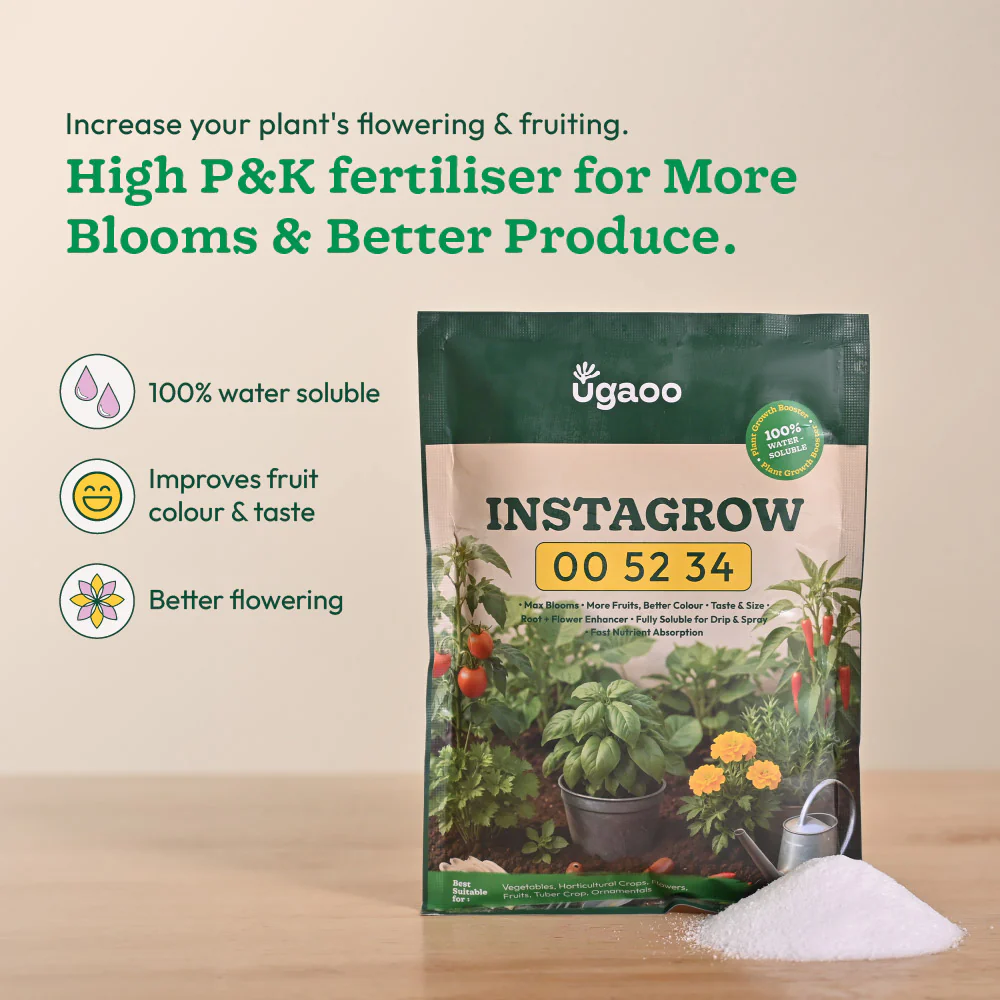 Instagrow NPK 00:52:34 Fertilizer - Image 3