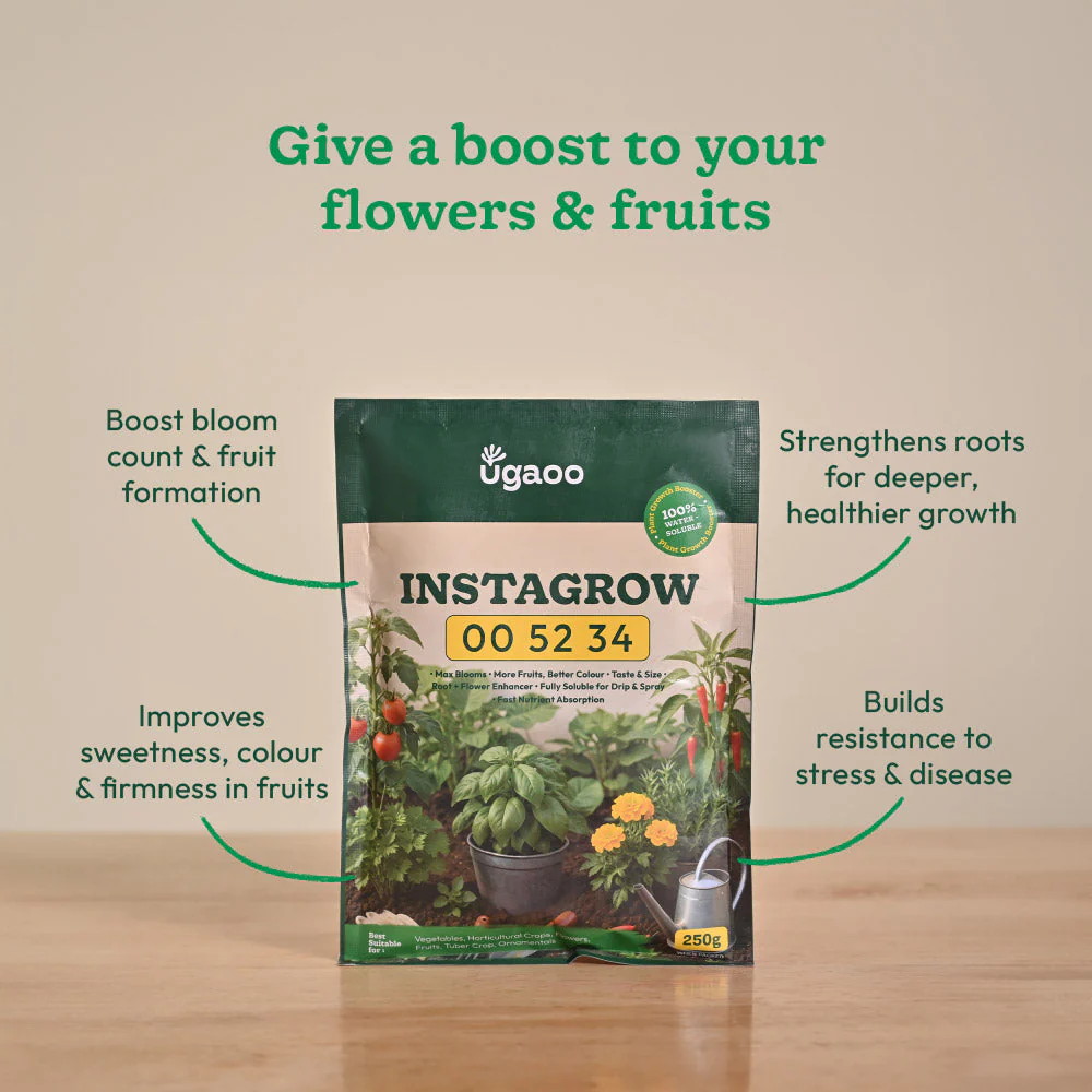 Instagrow NPK 00:52:34 Fertilizer - Image 4