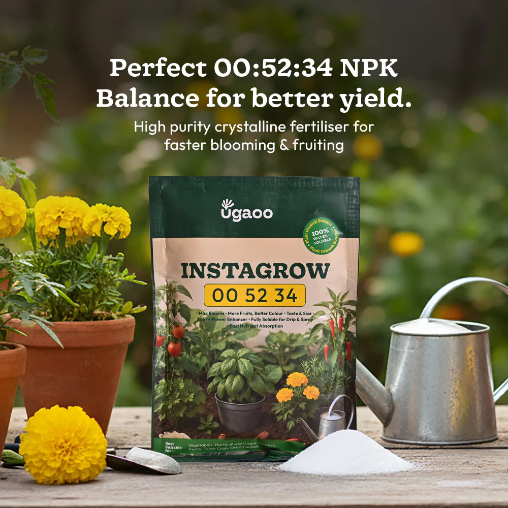 Instagrow NPK 00:52:34 Fertilizer - Image 5
