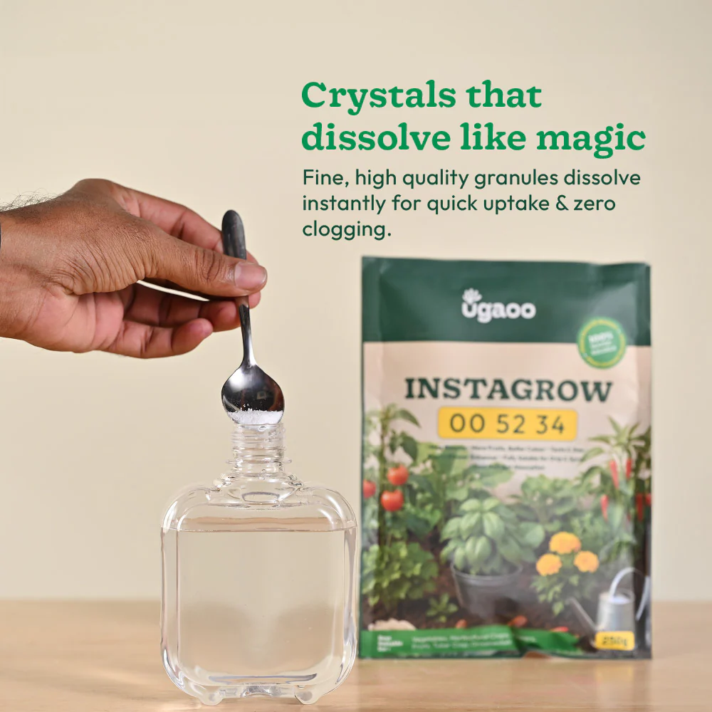 Instagrow NPK 00:52:34 Fertilizer - Image 9