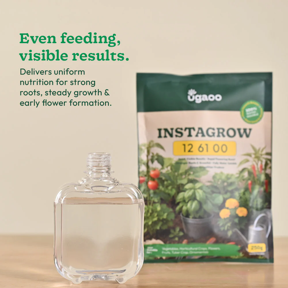Instagrow NPK 12:61:00 Fertilizer - Image 11