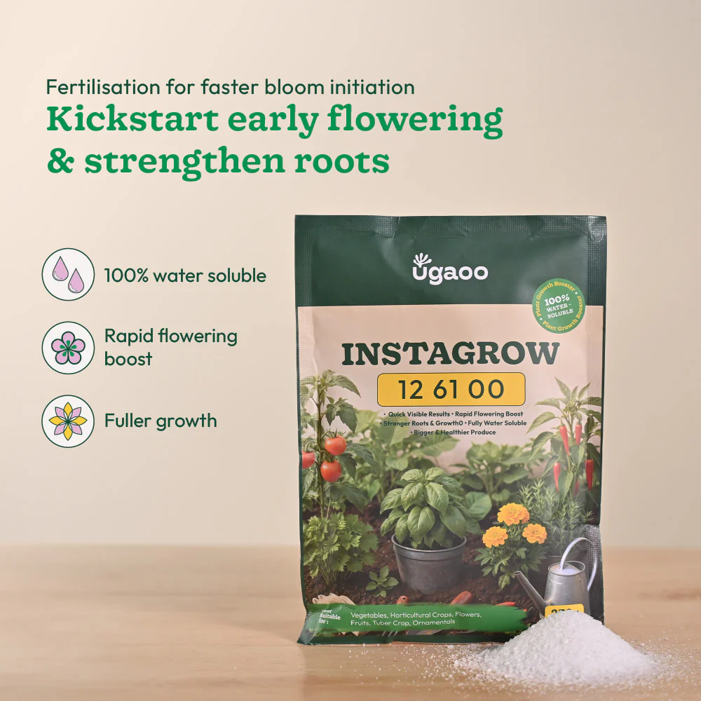 Instagrow NPK 12:61:00 Fertilizer - Image 3