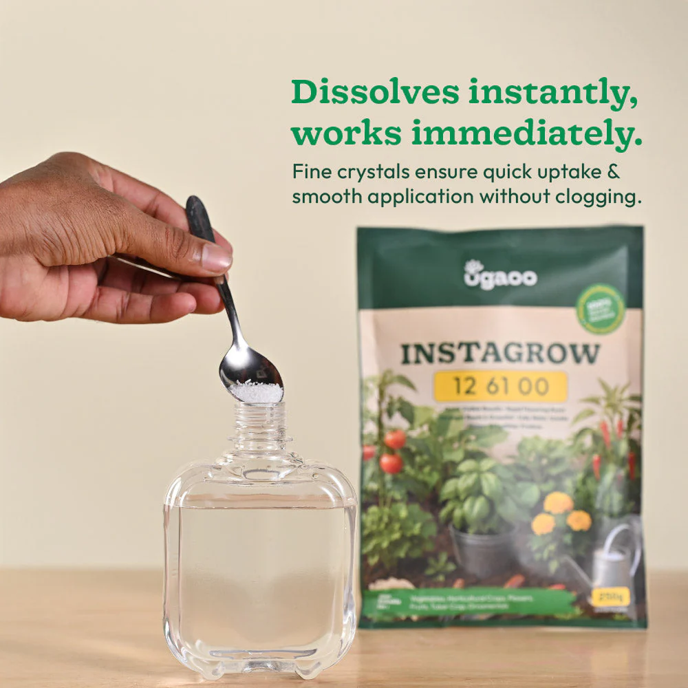 Instagrow NPK 12:61:00 Fertilizer - Image 9