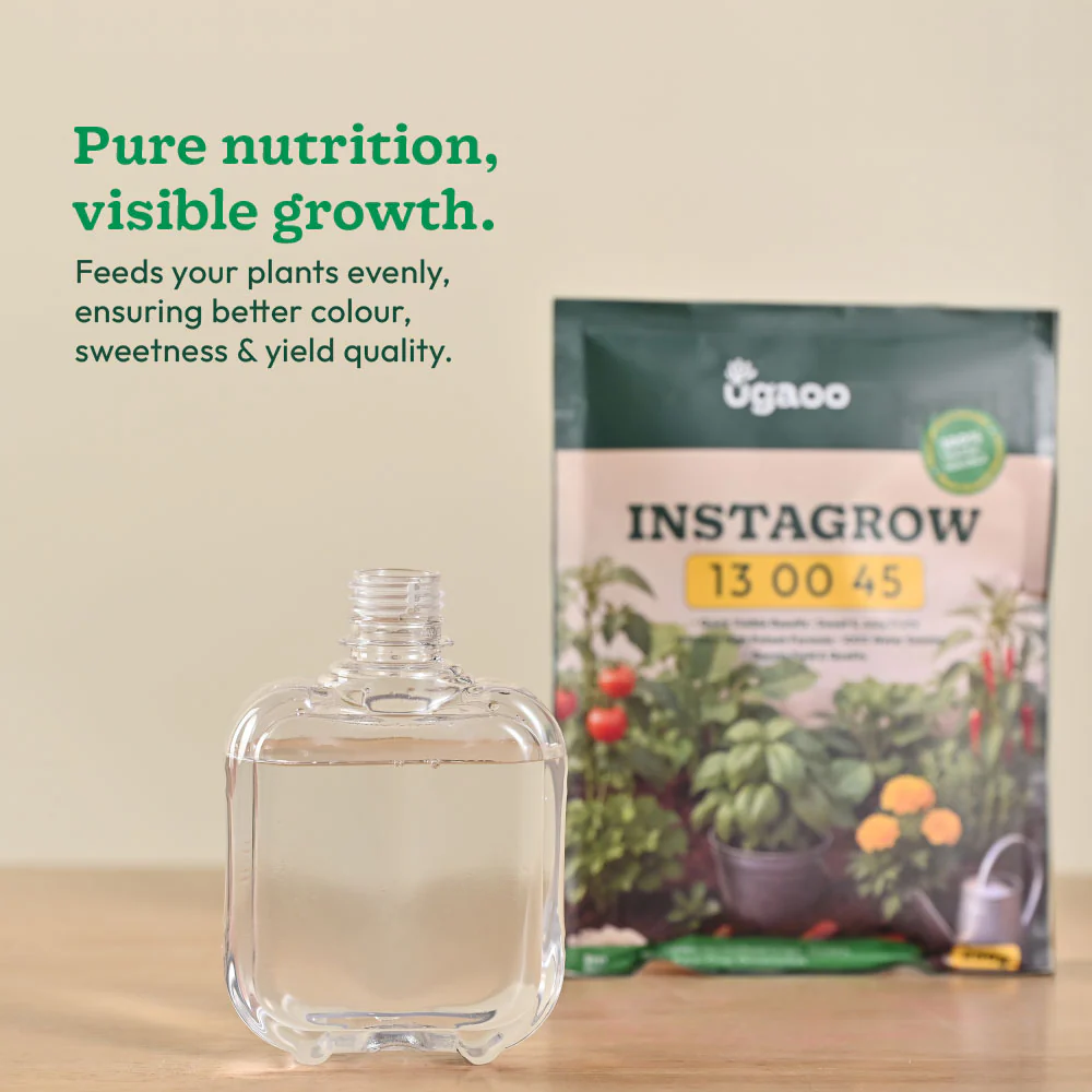 Instagrow NPK 13:00:45 Fertilizer - Image 11