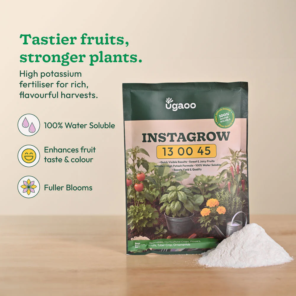 Instagrow NPK 13:00:45 Fertilizer - Image 3