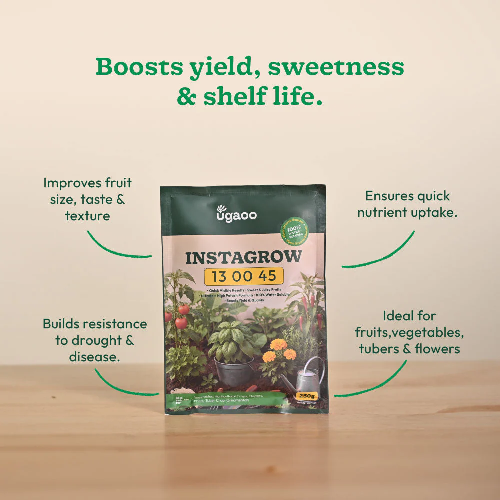 Instagrow NPK 13:00:45 Fertilizer - Image 4