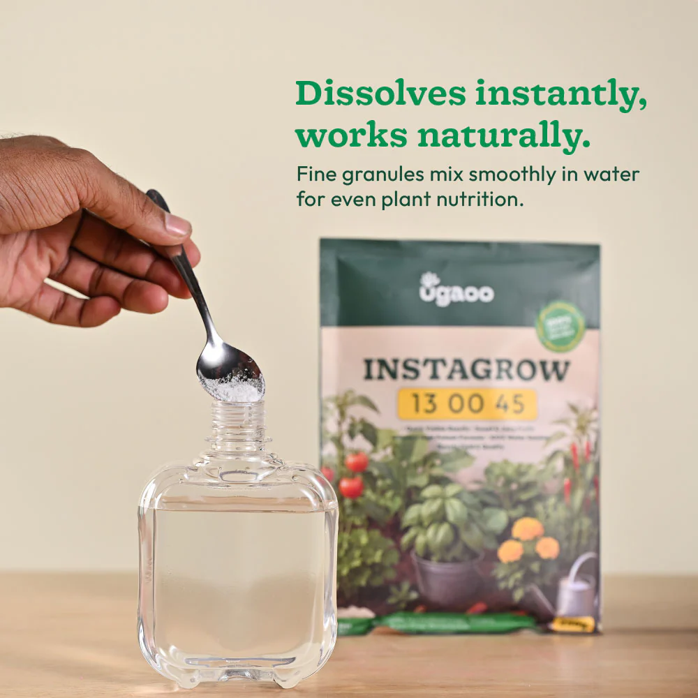 Instagrow NPK 13:00:45 Fertilizer - Image 9