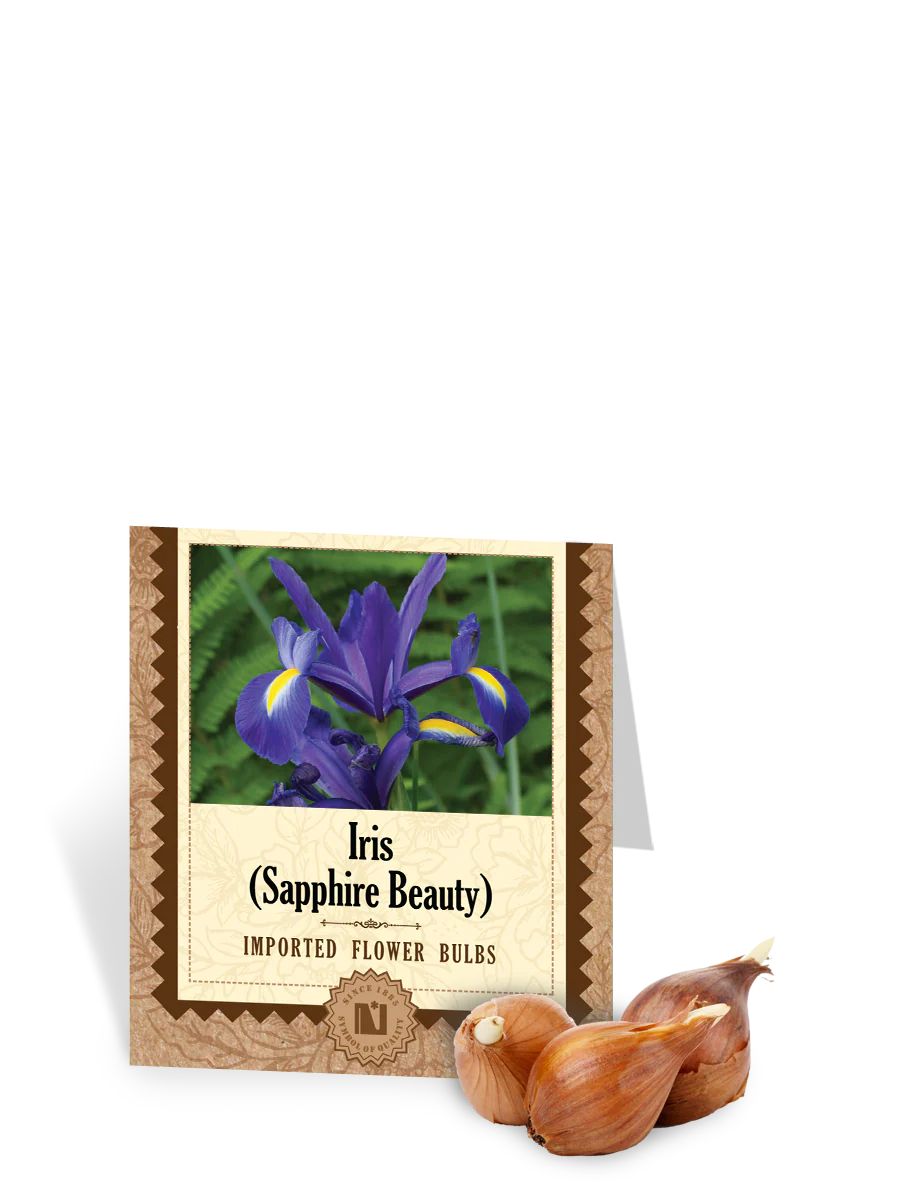 Iris Sapphire Beauty Bulbs
