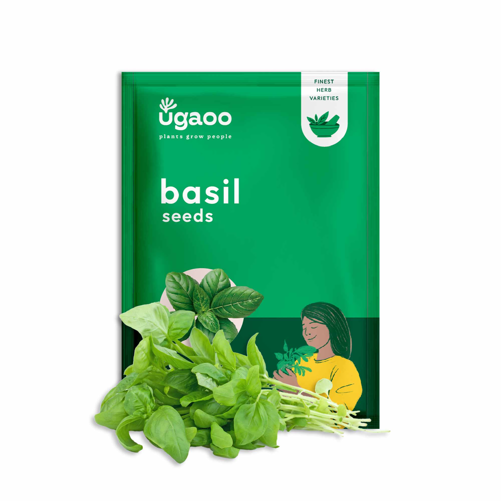 Italian Basil Seeds - Image 11