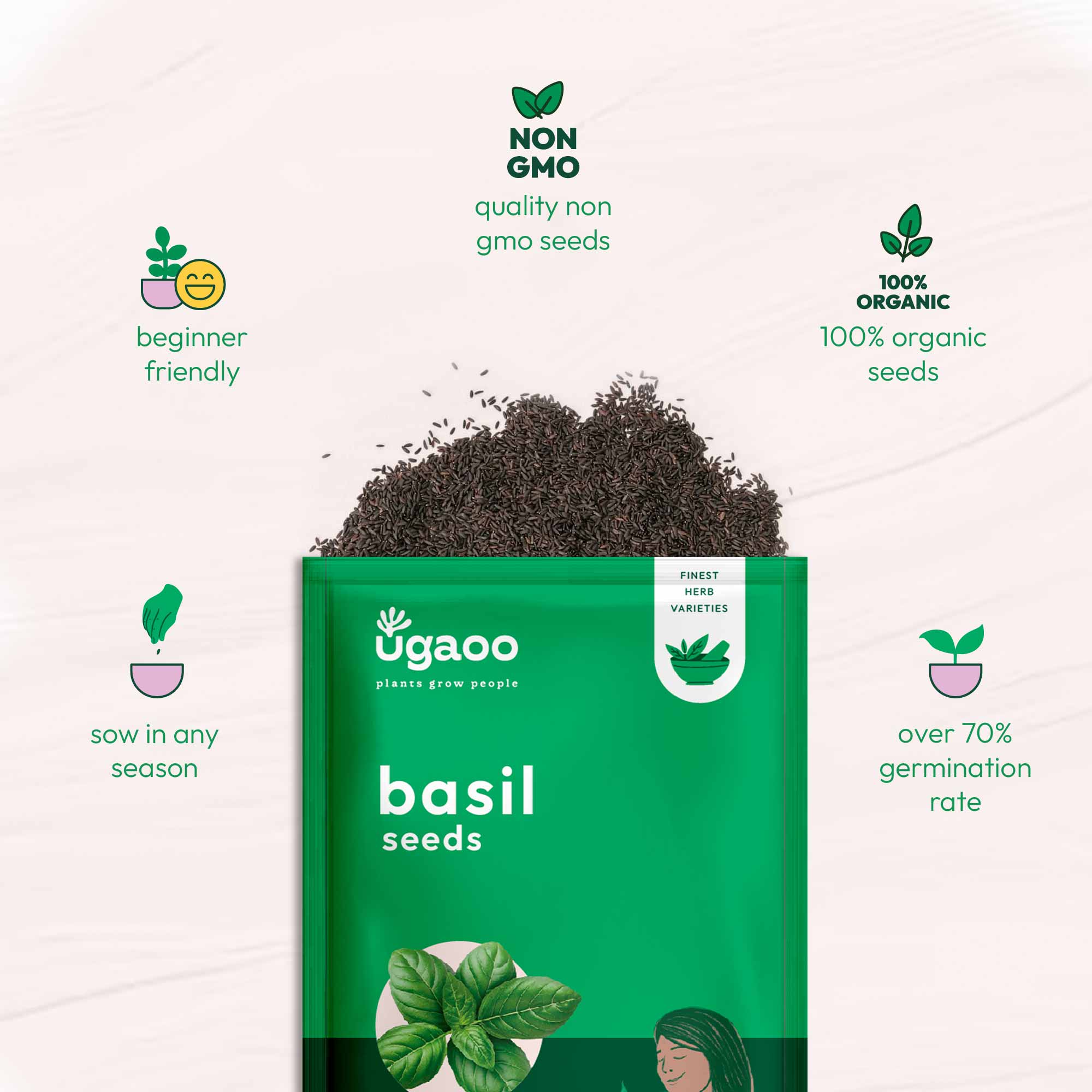 Italian Basil Seeds - Image 15