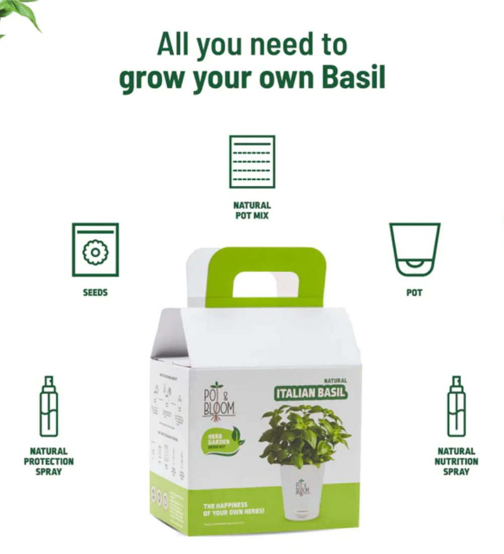 Italian Basil Grow Kit - Image 4