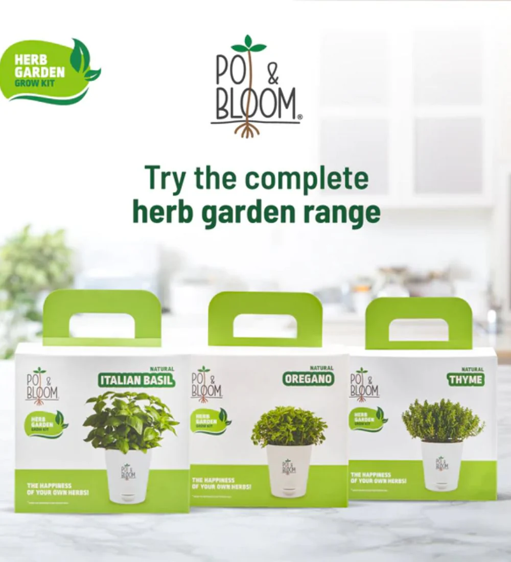 Italian Basil Grow Kit - Image 6