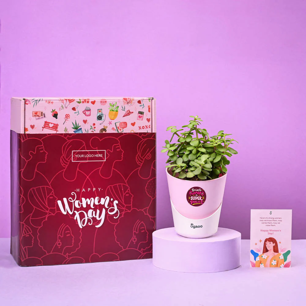 Jade Joy Women's Day Gift - Image 2