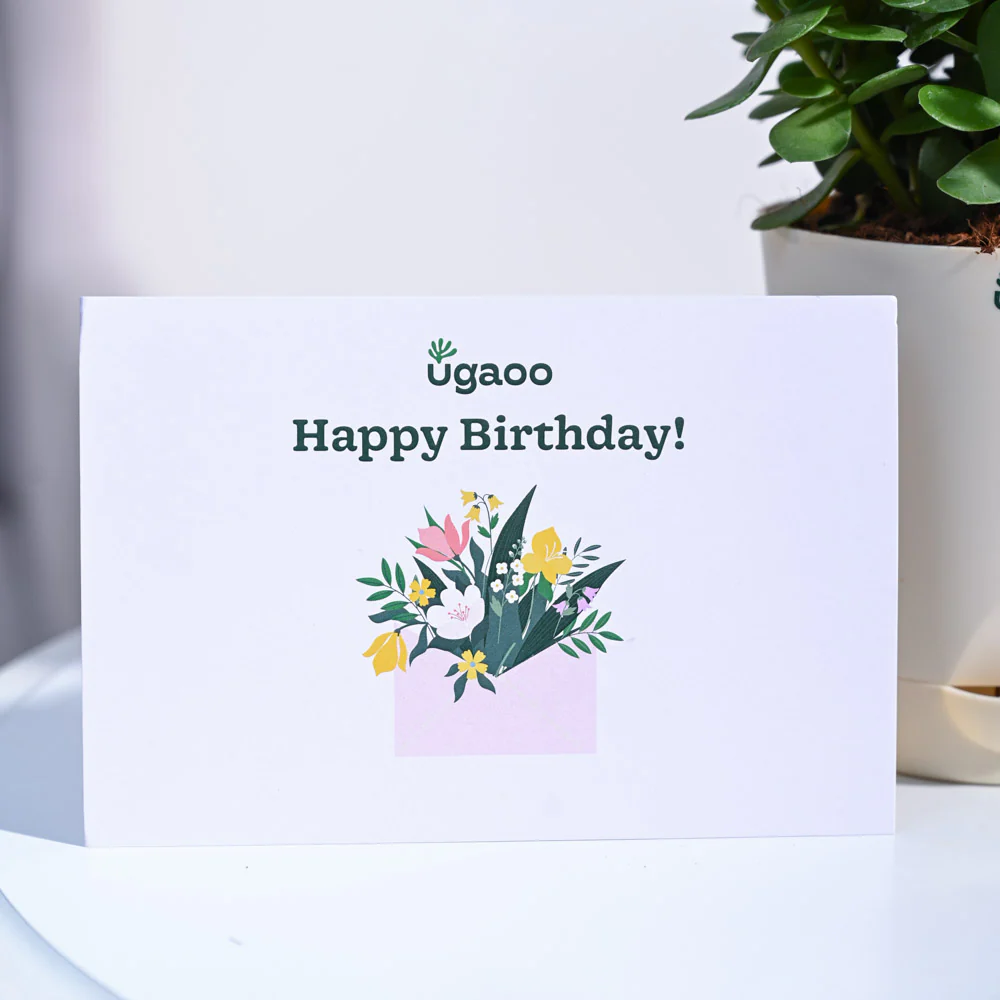 Jade Mini Birthday Gift Hamper - Image 4