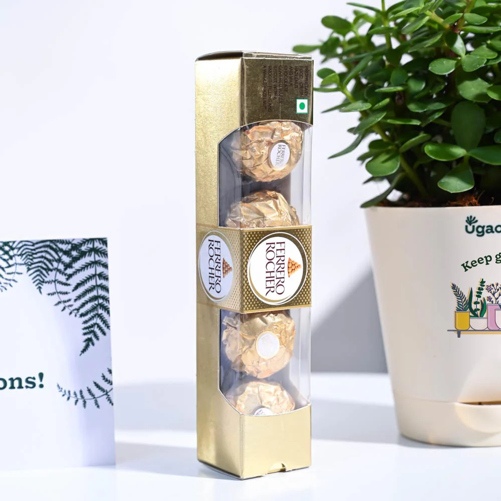 Jade Mini Congratulations Gift hamper - Image 4